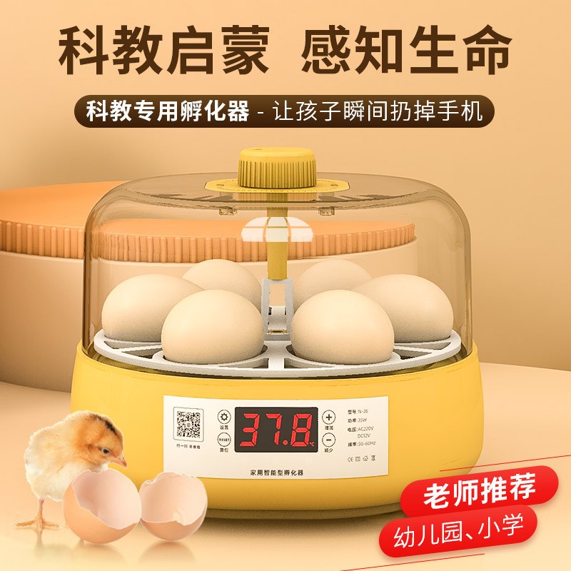 速发儿童智能孵蛋器迷你小型化用全自动鸟化机箱小鸡鹦鹉孵鸭蛋孵