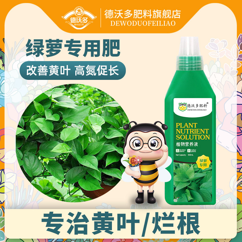 速发绿萝浓缩营养液绿箩专用栽花肥料盆肥水用吊兰家培植物肥通用