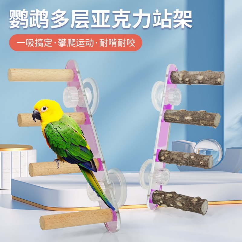 速发鹦鹉训彩用璃爬梯亚克力站杆吸盘磨爪炫鸟架专玻站台站架用具