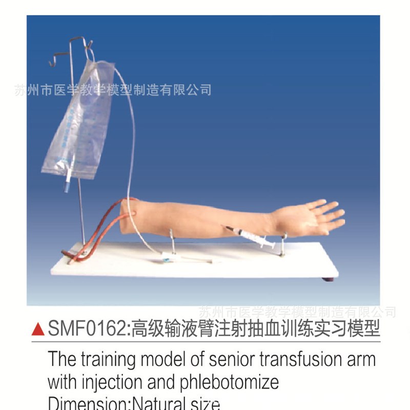 速发F01模习高级输液臂抽血训练实26型