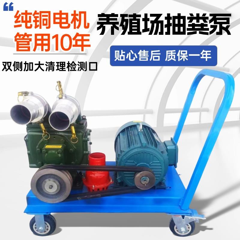 跨境养殖场无堵塞抽粪泵池塘清淤污水泵外贸工厂下水道吸污泵