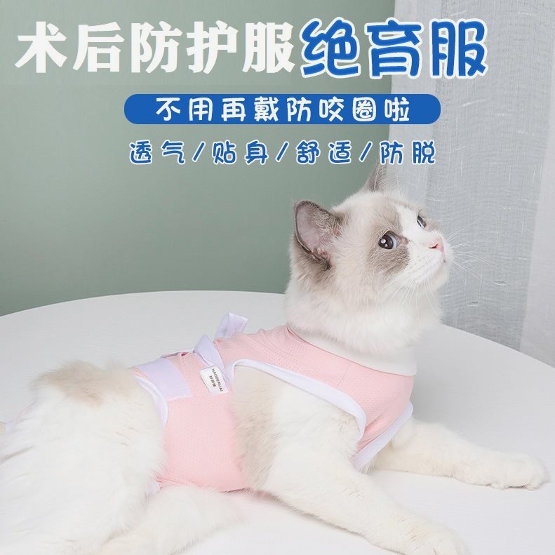 绑带式透气宠物绝育服猫咪绝育衣母猫术后防舔防护服宠物用品批发