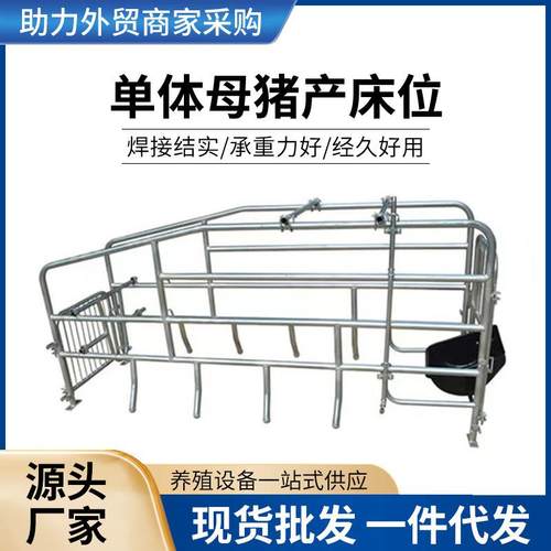 单体母猪产床位新款热镀锌管母猪产床分隔围栏现货供应母猪产床位