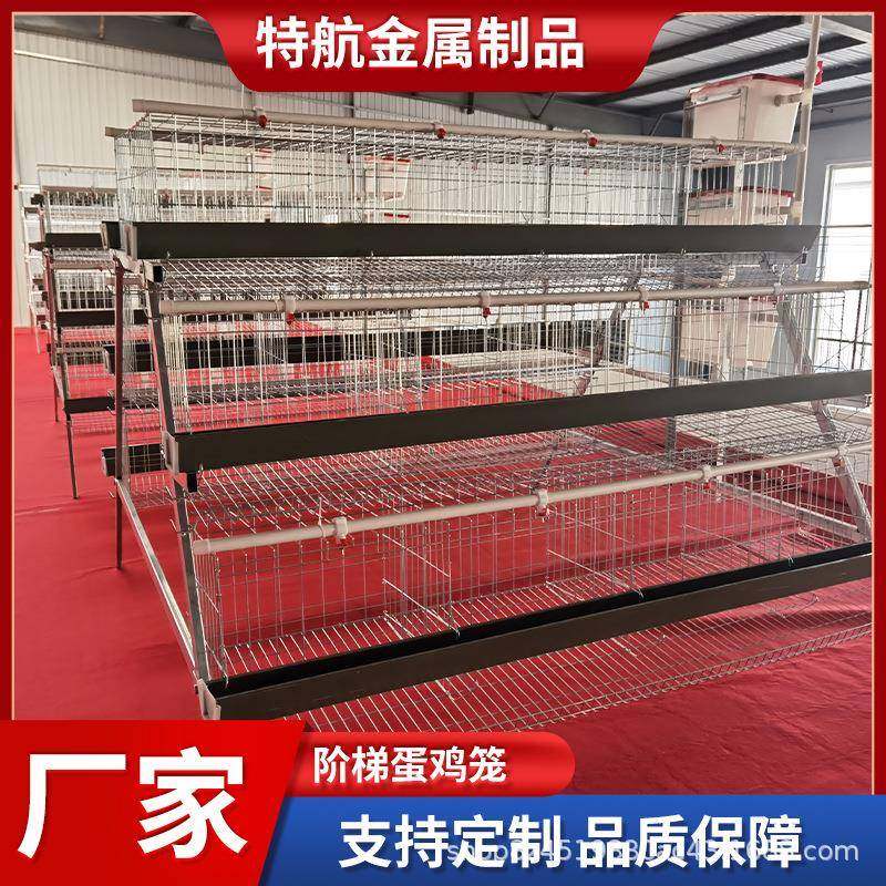 阶梯蛋鸡笼多层阶梯全自动清粪捡蛋喂料简单加背负式喂料机捡蛋机,畜牧/养殖物资,特种养殖设备,淘宝优惠券,粉丝福利购,淘宝优惠卷