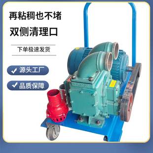 泥浆吸污泵 养殖场定制粪便吸粪泵厂家直售鸡粪鹅粪抽吸设备电动式