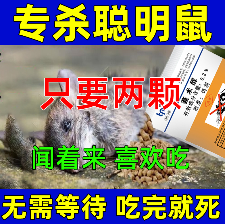 老鼠特效药【无效包退】当天发