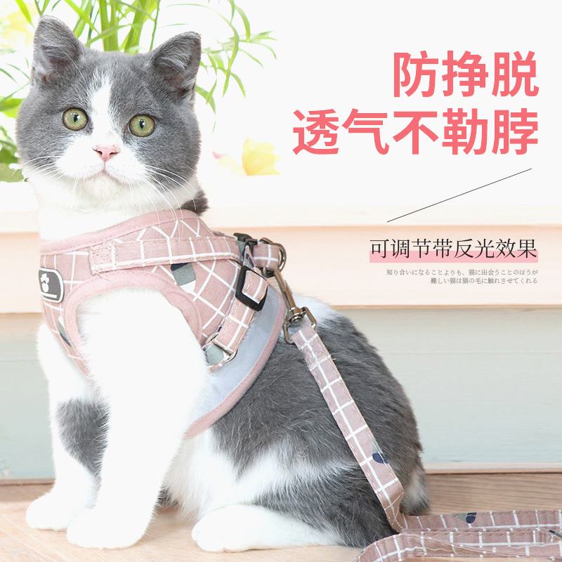 猫牵引绳背心式防挣脱可调节遛猫绳子可爱幼猫外出胸背带猫咪专用