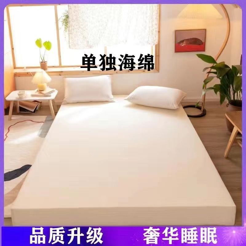 现货速发新款高密度海绵床垫家用床褥炕垫榻榻米学生宿舍单人双人