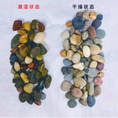 长江豆LCE天然小石石鹅卵过滤料鱼缸花盆子水处理地石暖回填找平