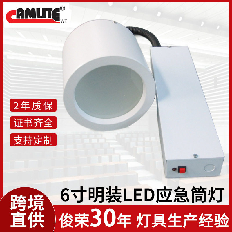 6寸明装/嵌入式LED应急筒灯