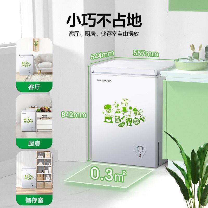 容声10无品牌/温升冰家用柜商用0卧式小型冷柜能效变柜