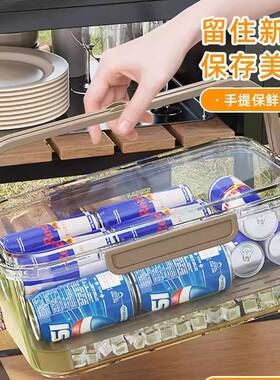 便当盒移动21324露营箱收冰出春手提小便携保鲜纳盒游水果野餐户