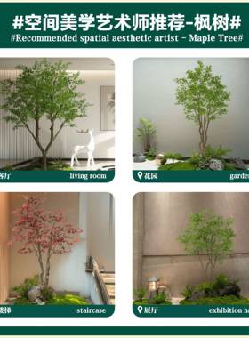 仿真红枫枫、绿爪造景假树落地摆件树RYL茶室室内绿植鸡装饰