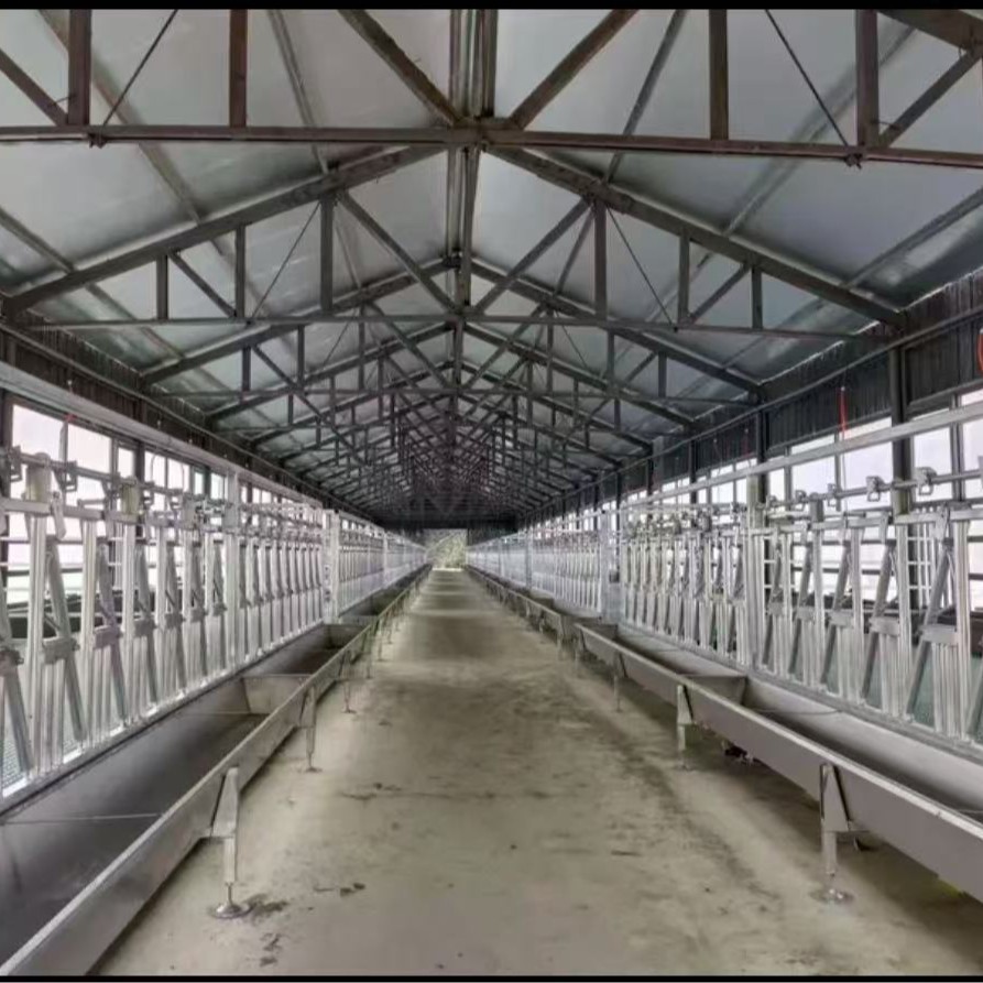 蜜蜂箱格子箱中蜂土养格子箱蜜蜂养殖工具诱蜂桶全套杉木烘干煮蜡