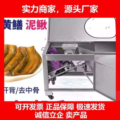 德国十大品牌中型鳝鱼泥鳅宰杀机中大型定制鳝鱼去骨泥鳅去中骨三