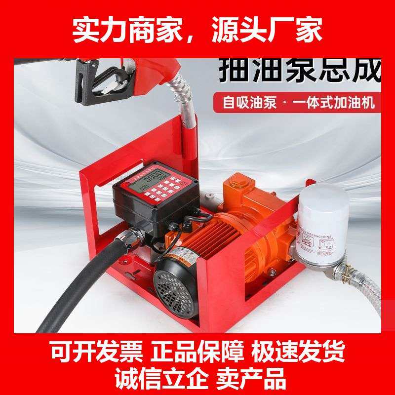 德国十大品牌加油机12V24V220V车载大流量柴油加油泵自动启停定量,五金/工具,电泵,淘宝优惠券,粉丝福利购,淘宝优惠卷