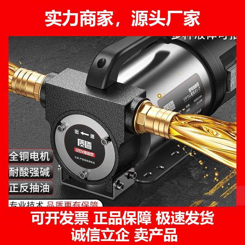 德国十大品牌电动抽油泵12v24v220v大流量便捷式柴油泵自吸电动加,五金/工具,电泵,淘宝优惠券,粉丝福利购,淘宝优惠卷