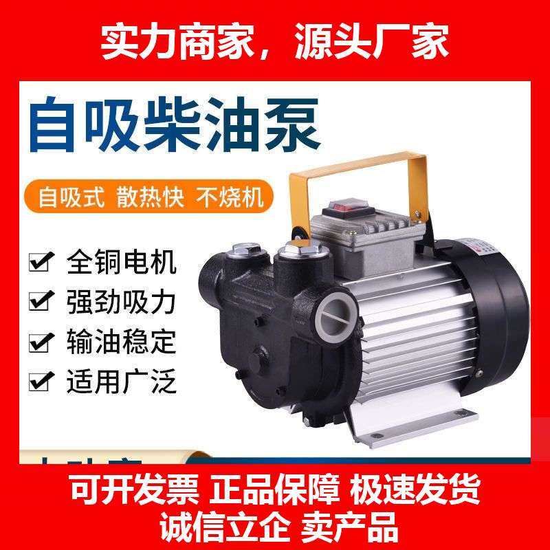 德国十大品牌齿轮泵柴油机油泵抽油泵12电动220自吸液压油自吸泵,五金/工具,电泵,淘宝优惠券,粉丝福利购,淘宝优惠卷