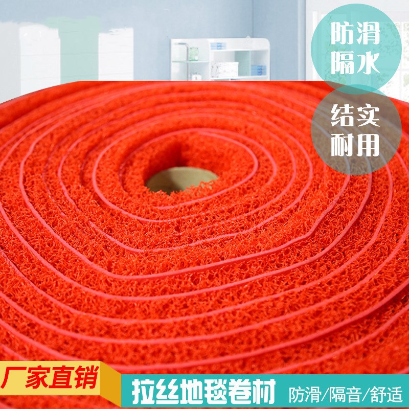 厂家直销加厚丝圈卷材门口客