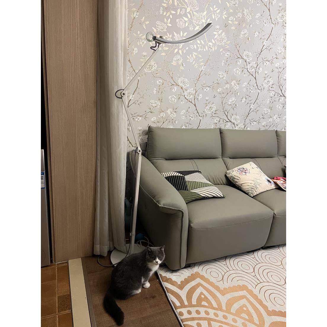 明i基bdmwtlfoor落地支架原装正品明基护眼灯落地架灯明基台灯支