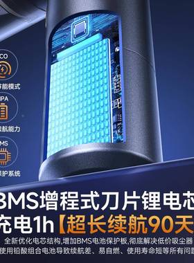 车载尘器大吸力率车用型无线吸充电大功汽车家用小手持式LZF83011