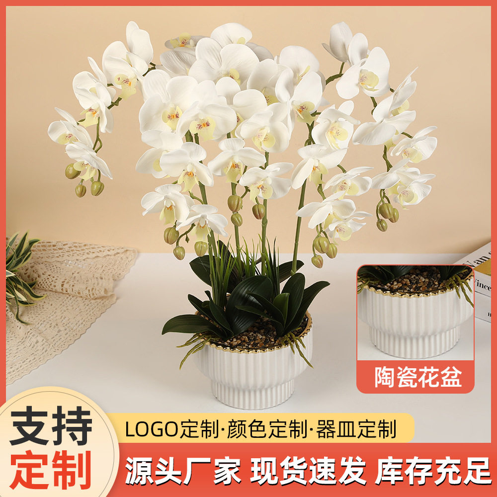 跨境7朵手感蝴蝶兰盆栽餐桌茶几装饰仿真花盆景摄影拍照假花道具