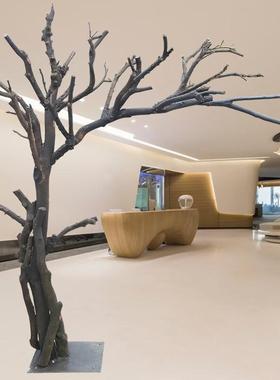 原木造型枯树皮本色天BYY然干树创意道婚庆影枝楼具橱去窗摆件装