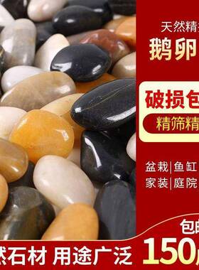 5庭斤五色鹅卵石小石头彩铺路院铺0阳台鱼缸ZWA天然原石雨花石造