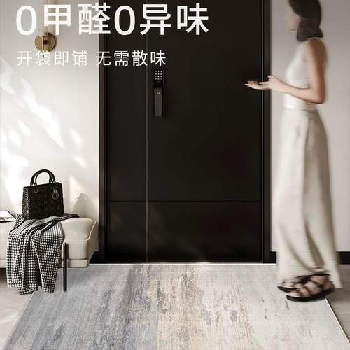 入户剪门洗地垫垫进门地毯门口门新款客ONE厅免可裁轻奢脚垫