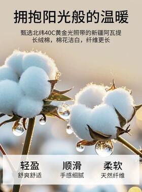 高端10支长绒棉LANL01床单件贡缎纯色纯0棉全棉床单床笠保护套床