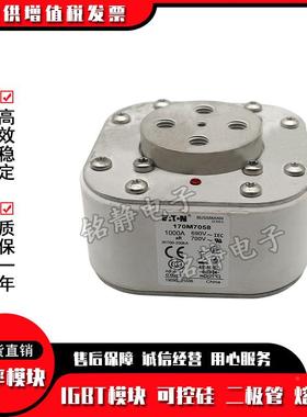170M7031170M75012480170M734170M7051370M7544巴斯曼熔断器