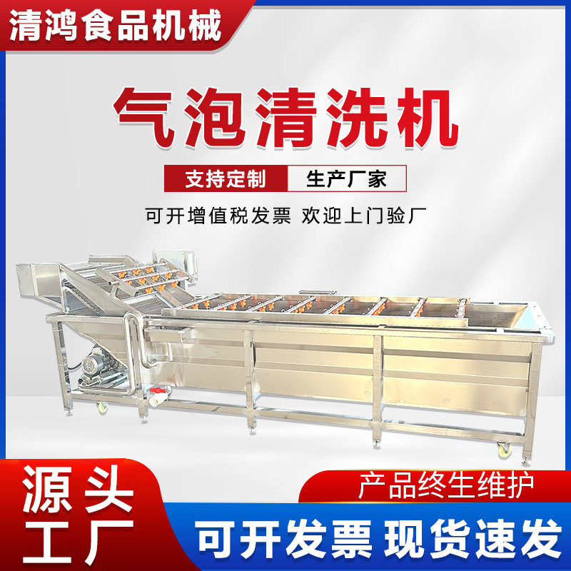 自动化杨梅草莓气泡清洗机桑葚水果清设备厂家荔枝芒果清洗流水线