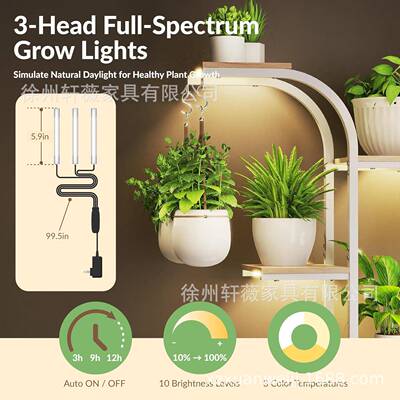 带灯展示架植物支花架绿植铁置艺跨境架物YRA架落地式花盆植带物