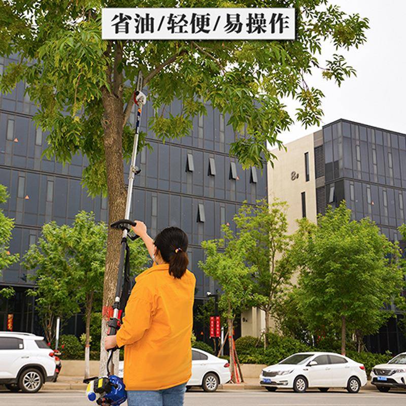 易奥斯链顿高枝油锯G26修高空枝剪汽油锯园中林果树高速修剪LMK链