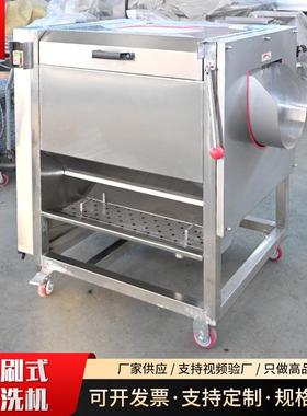 厂动家商用电毛刷洗机菜机红薯地瓜马铃薯去皮磨皮毛刷TUN去皮清