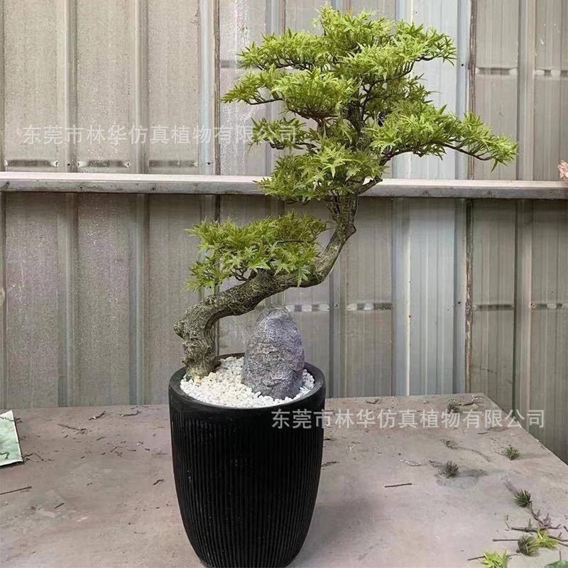 真仿真松树盆景仿仿真迎客迎客松盆栽叶仿真绿植装饰仿摆件真枫树