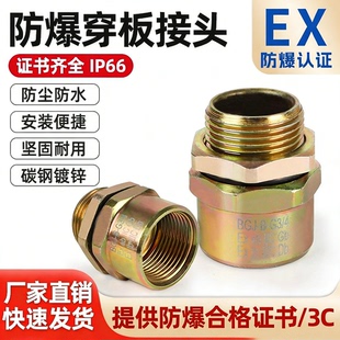 防爆穿板接头4/6分碳钢镀锌桥架电缆穿线管接头内外纹BGJ带锁母