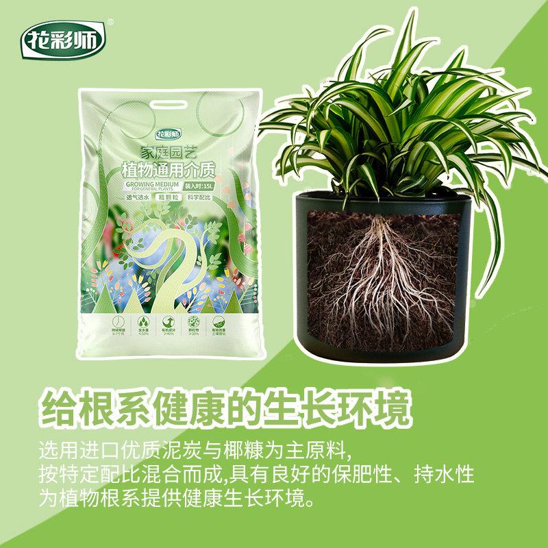 虹师越植物通用花彩营养土植物用通型透气疏松花种蔬菜盆栽种养植