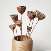 莲蓬花天然禅意装 饰蓬原生态落地CLE拍摄莲道干生具干花花束原态