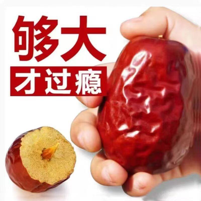 新货 和田大枣500g袋装肉厚原味新疆特产灰枣干果即食零食红枣