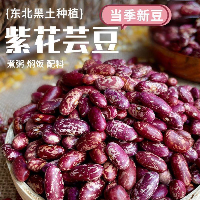 东北紫花芸豆24年新货农家熬煮大碴粥饭豆五谷杂粮特产新鲜红腰豆