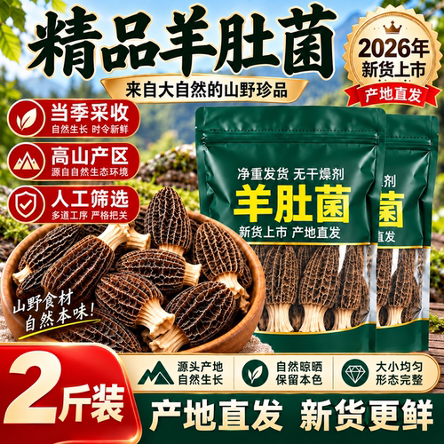 云南高山羊肚菌26年新货无硫