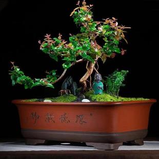 紫砂花盆长方形正方形阳台种菜盆特大号家用盆栽盆景陶瓷大花盆