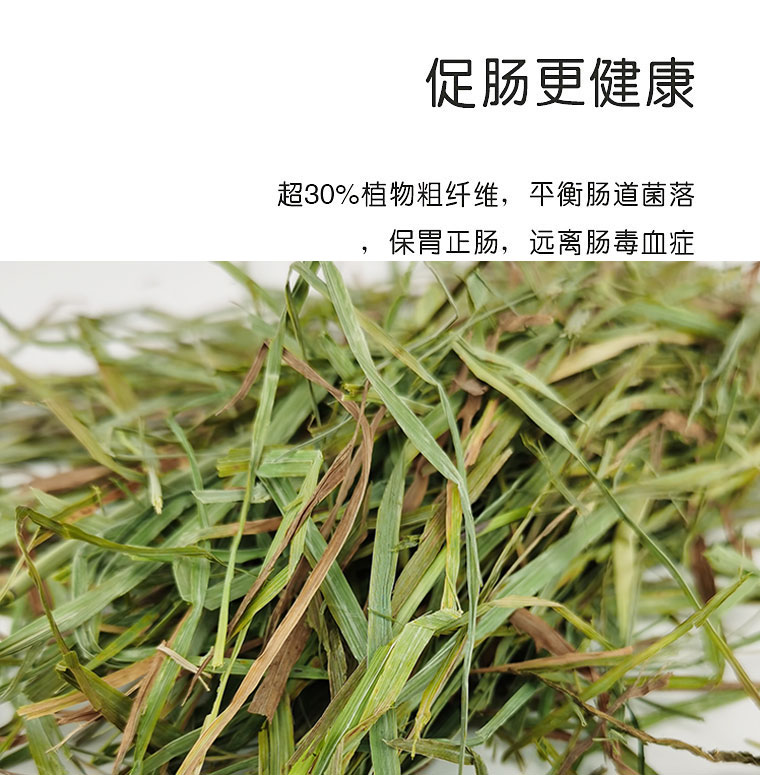 速发21年新批次提摩西草二番一压500g草兔子干草兔粮牧草