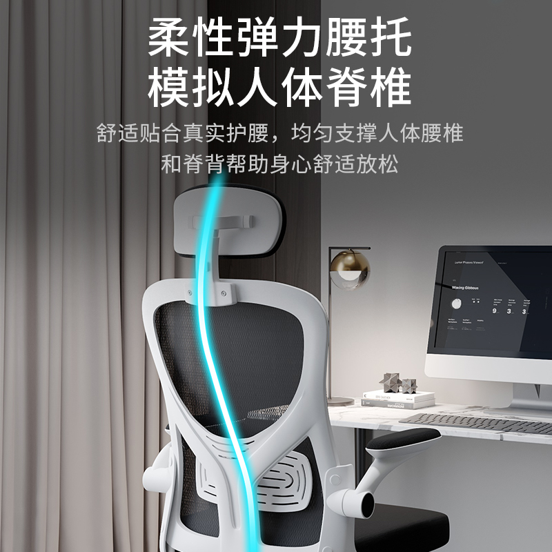 现货速发电脑椅家用舒适久坐靠背办公座椅人体工学椅电竞椅升降学