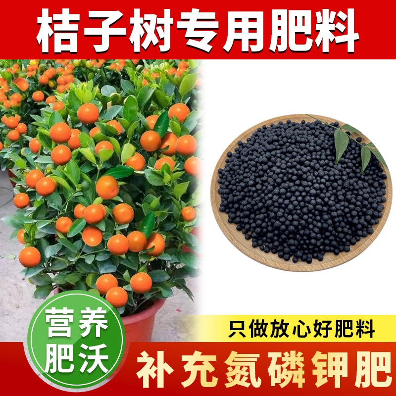 速发缓子树肥橘桔树肥料金桔树柑橘复合子释肥沃柑果树盆栽颗粒肥