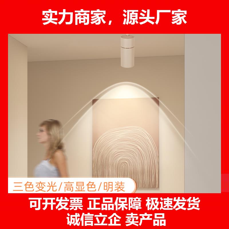 新款彩虹小射灯法式奶油风可调角度过道走廊壁画专用氛围筒灯