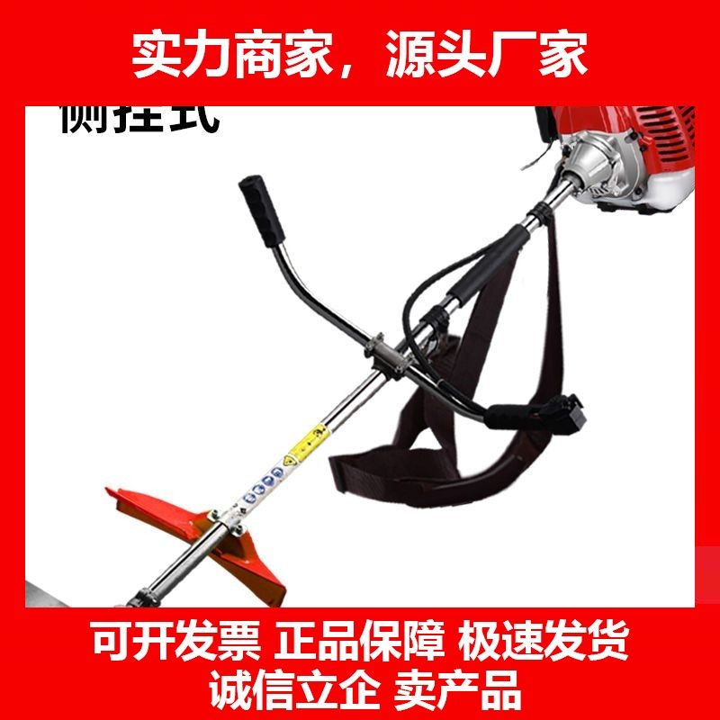 德国十大品牌四冲程大功率背负式汽油割草机多功能割灌机两冲程农,五金/工具,汽油机,淘宝优惠券,粉丝福利购,淘宝优惠卷