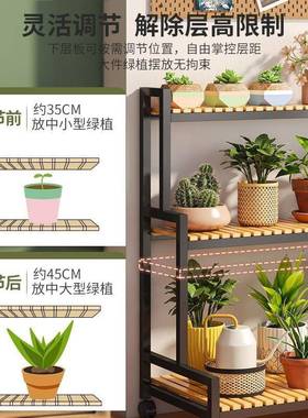 花盆架置0物架阳台花架子客厅落地式225新款展/THDB-示架物植多肉