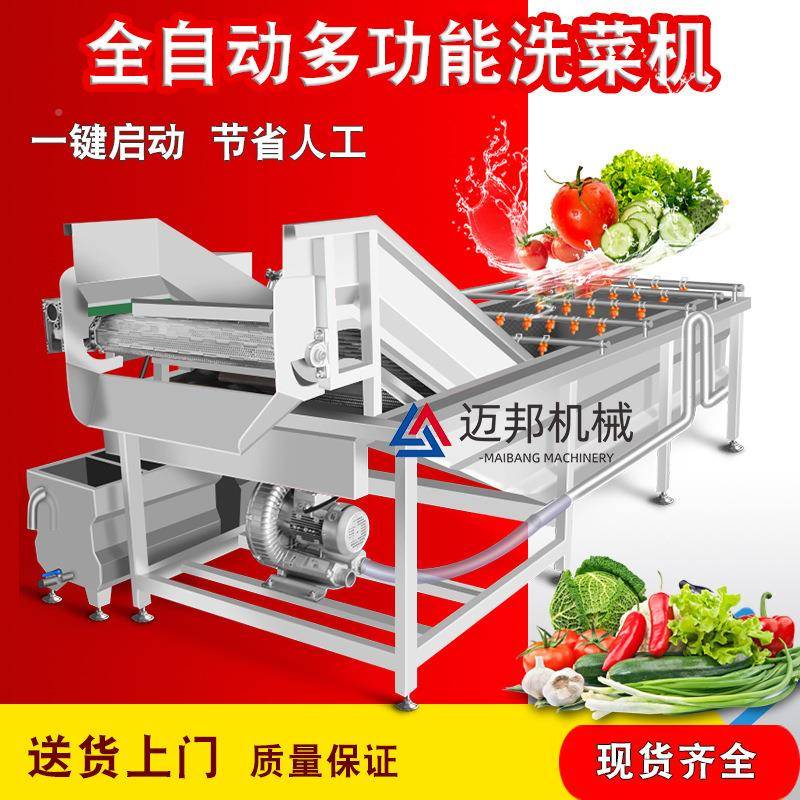 气LSV设备全清自柠檬清洗机杨桃果泡蔬清洗气泡洗动机竹笋